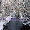 RM-040 Winter Creek