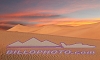 DV-028 Mesquite Dunes Sunrise