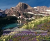 GL-001 Mt. Gould Sunrise Flowers